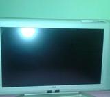 LCD TV SEG