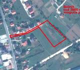 Zemljište Bojnik,3000 m2