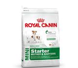 Royal Canin Mini Starter, Mother&baby dog